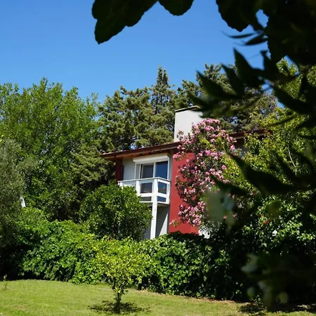 Coollyhouse Keklik Tepe Urla