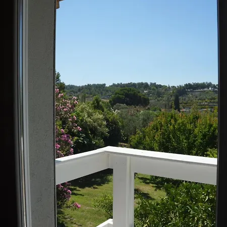 Coollyhouse Keklik Tepe